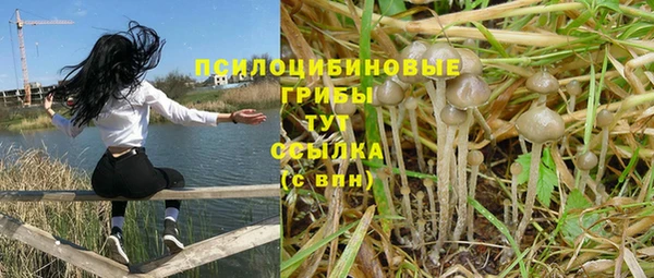 кокаин перу Богданович